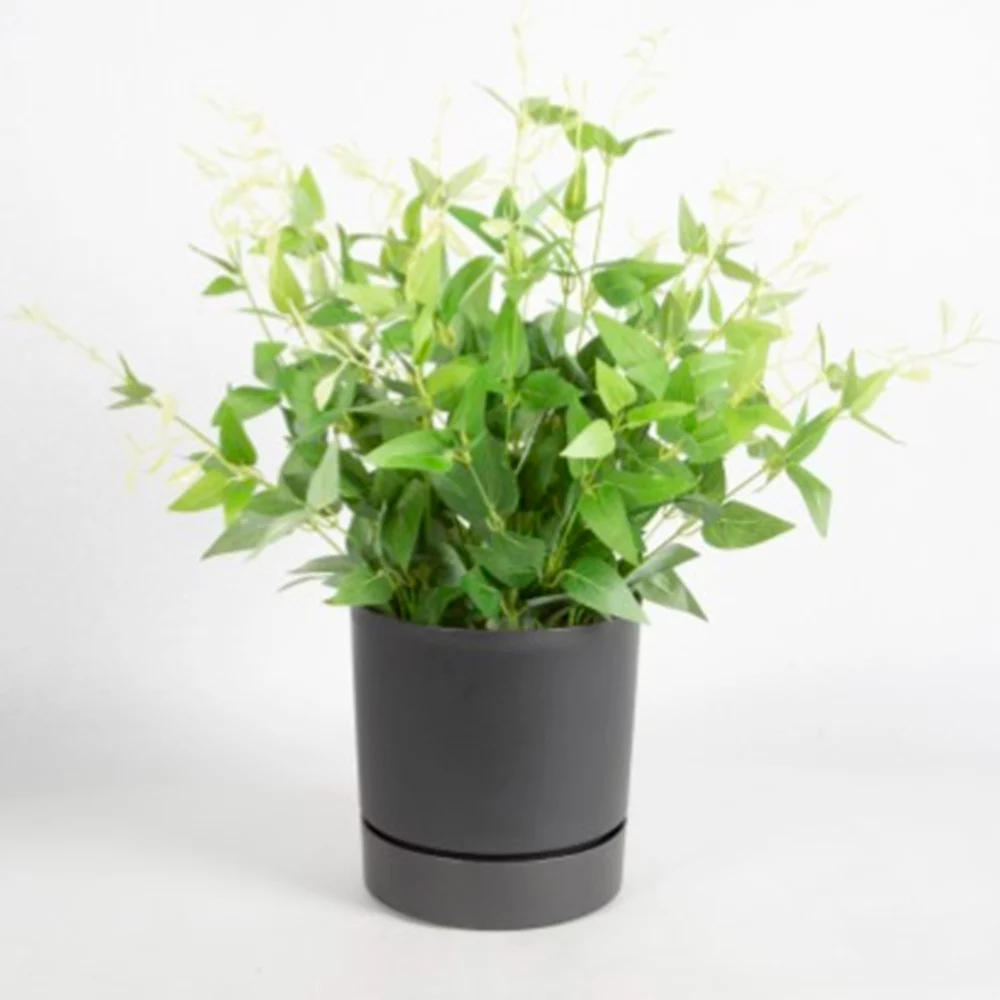 cinpa - Artificial Plant Arrangement - 7399