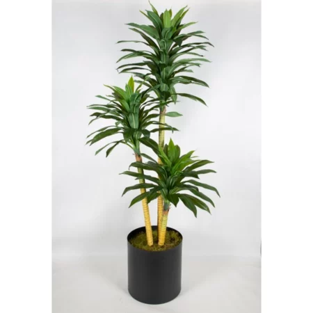 cinpa - Artificial Plant Large - DRACAENA